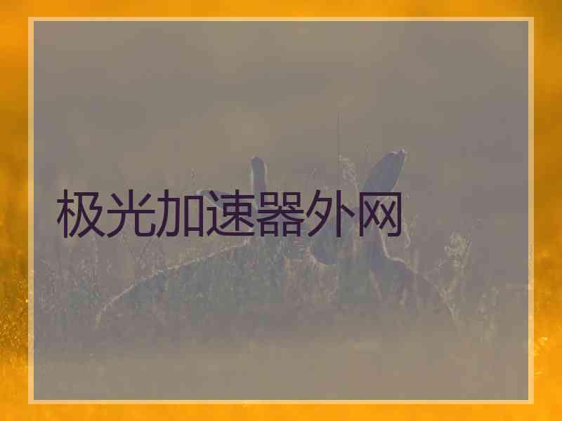 极光加速器外网