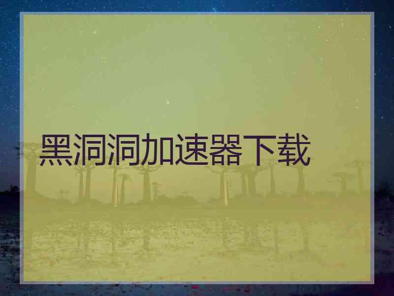 黑洞洞加速器下载