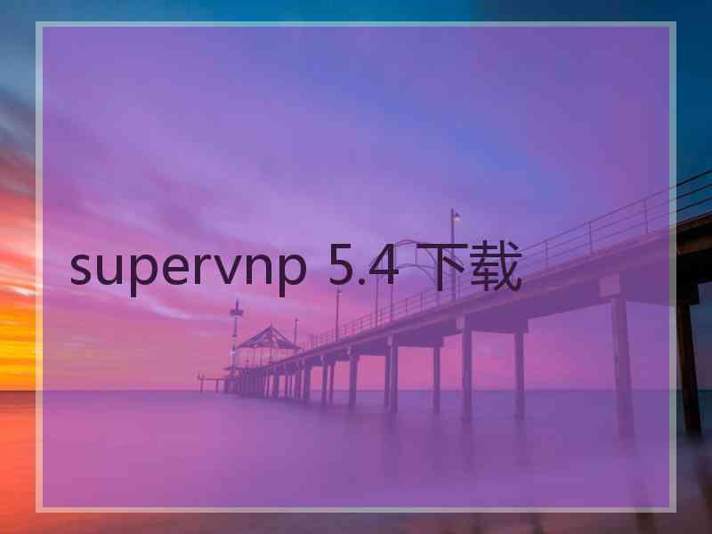 supervnp 5.4 下载