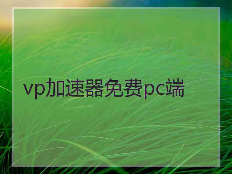 vp加速器免费pc端