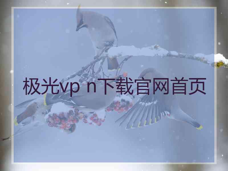 极光vp n下载官网首页
