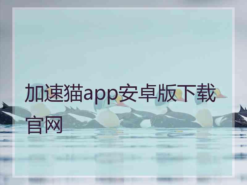 加速猫app安卓版下载官网