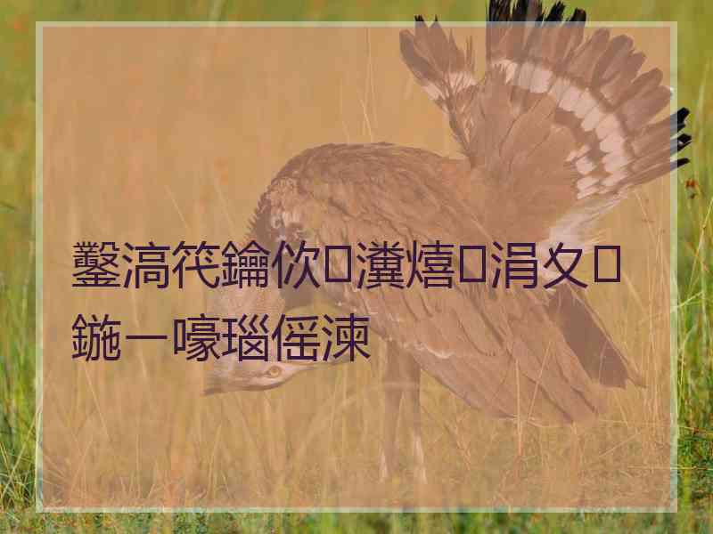 鑿滈笩鑰佽瀵熺涓夊鍦ㄧ嚎瑙傜湅