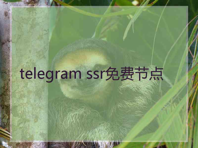 telegram ssr免费节点