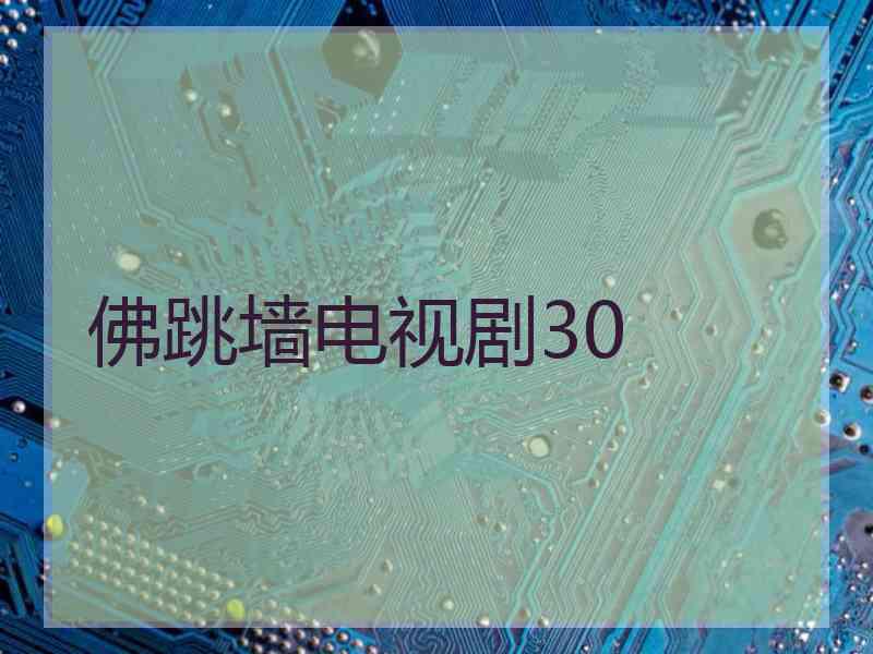 佛跳墙电视剧30