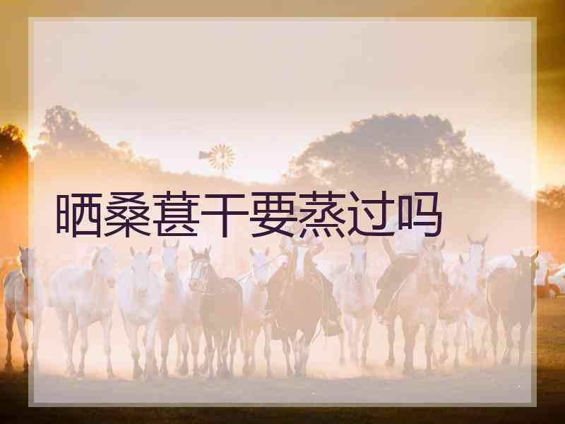 晒桑葚干要蒸过吗