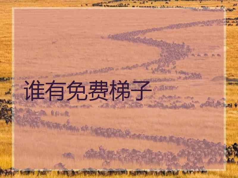 谁有免费梯子