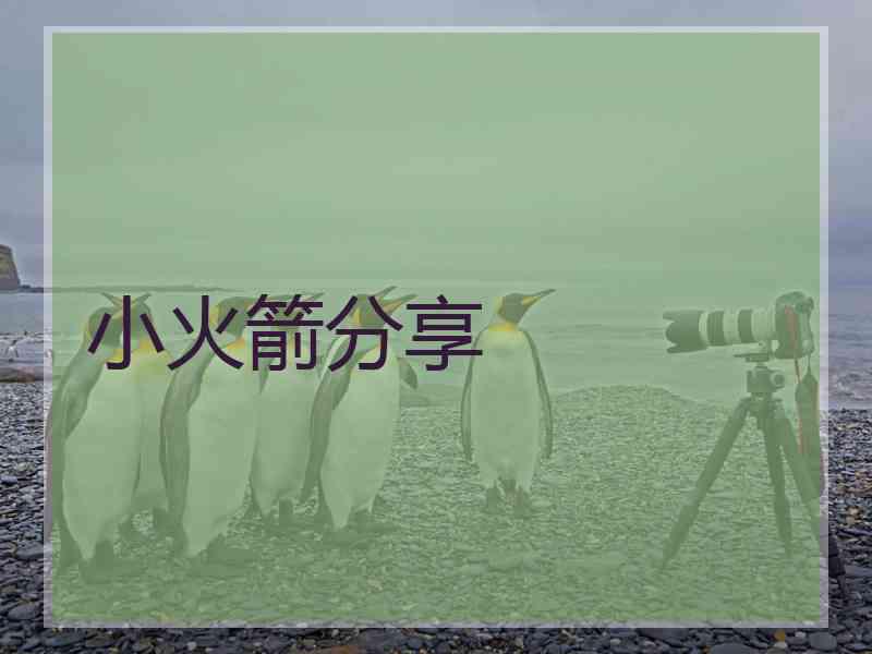 小火箭分享