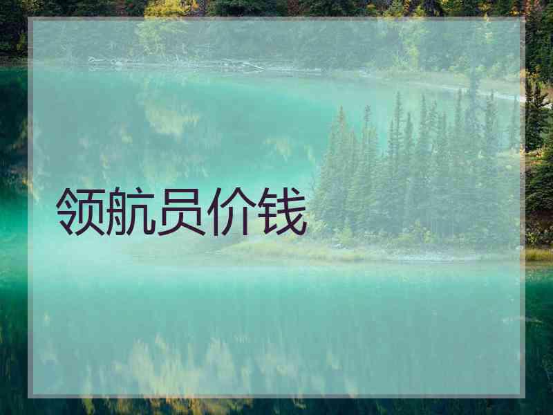 领航员价钱
