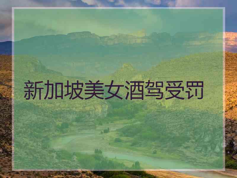 新加坡美女酒驾受罚
