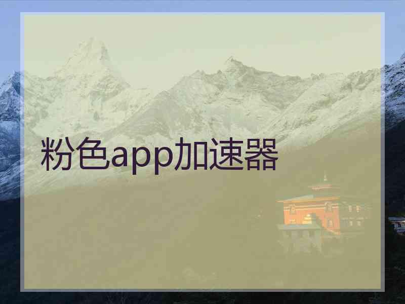 粉色app加速器