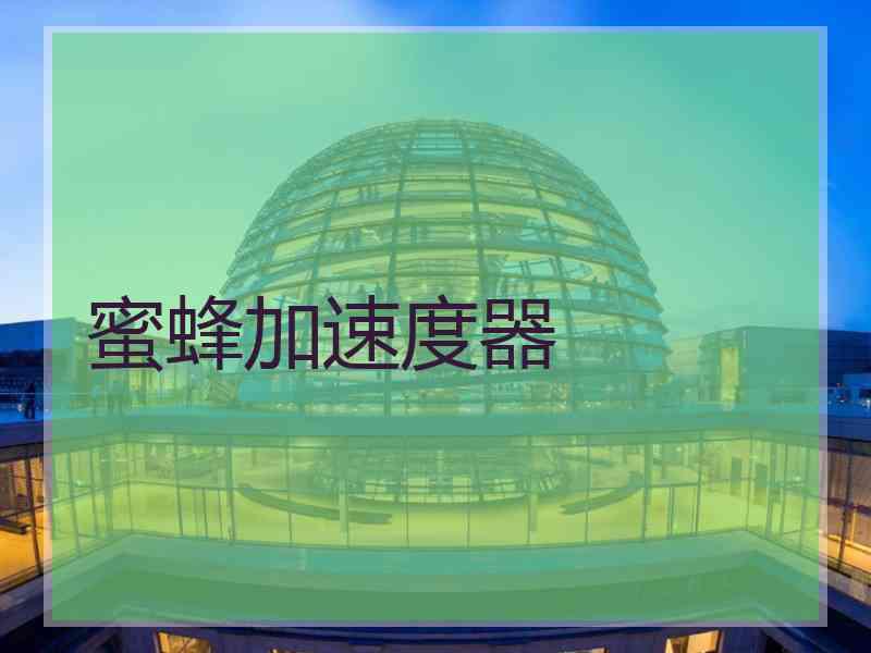 蜜蜂加速度器