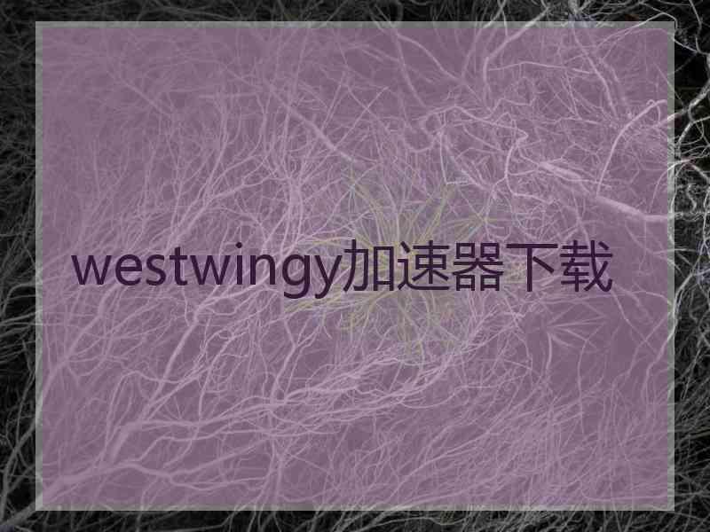 westwingy加速器下载