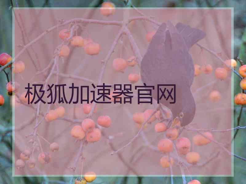 极狐加速器官网