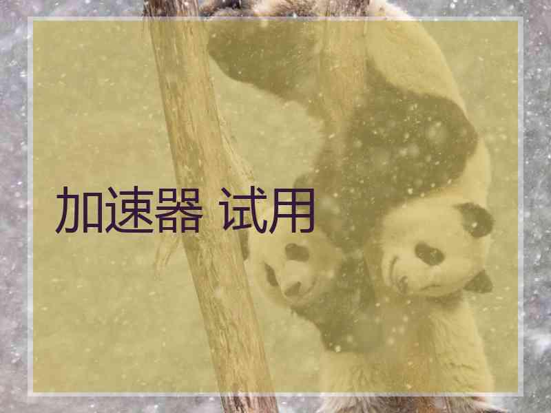 加速器 试用
