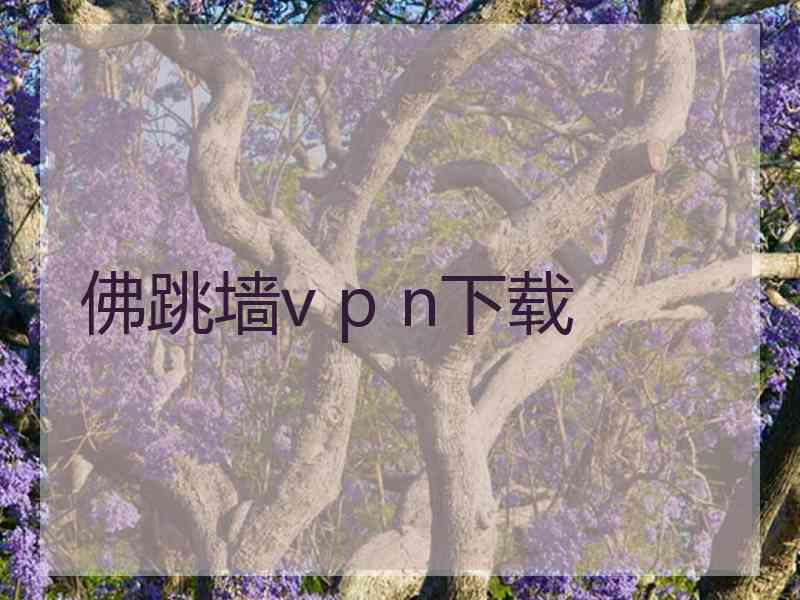 佛跳墙v p n下载