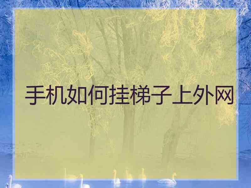 手机如何挂梯子上外网