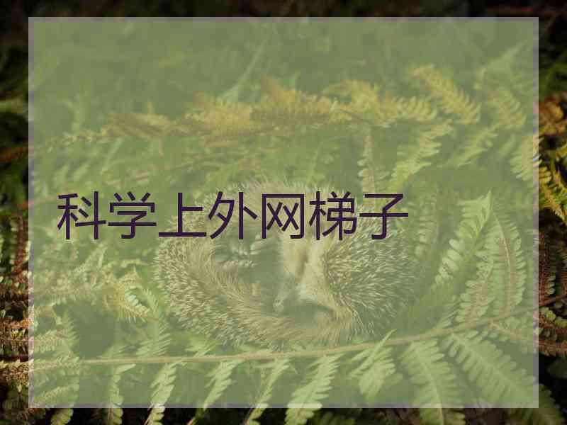 科学上外网梯子