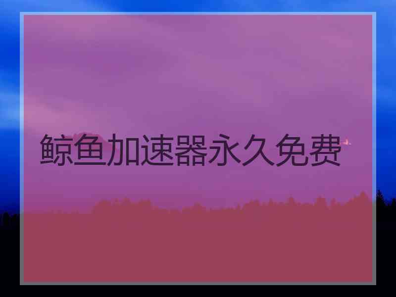 鲸鱼加速器永久免费
