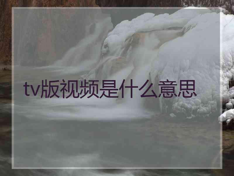 tv版视频是什么意思