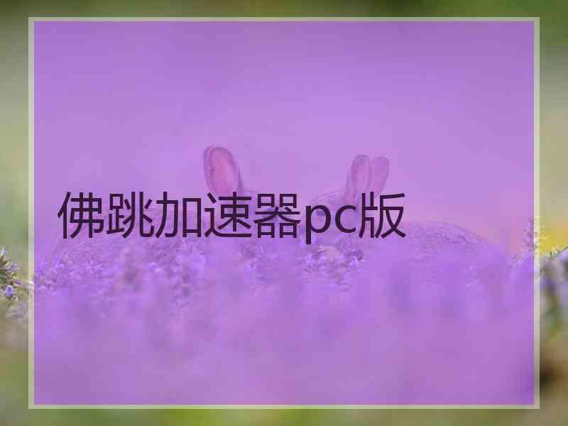 佛跳加速器pc版