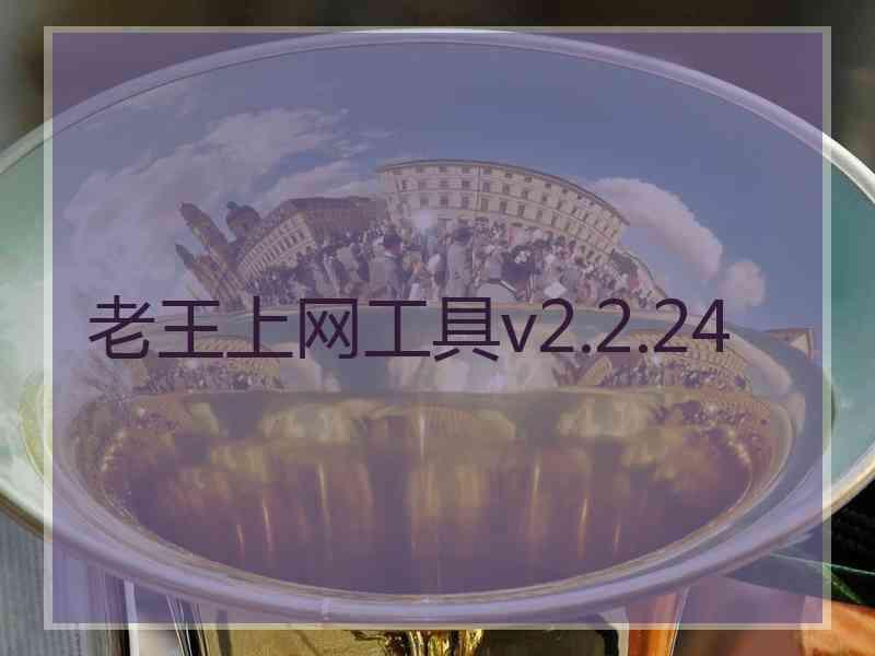 老王上网工具v2.2.24