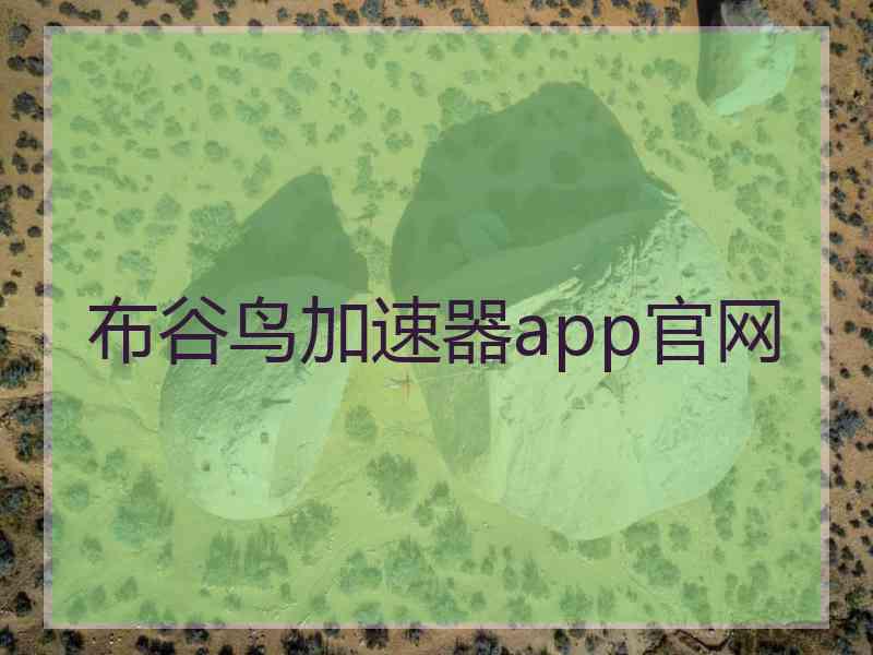 布谷鸟加速器app官网