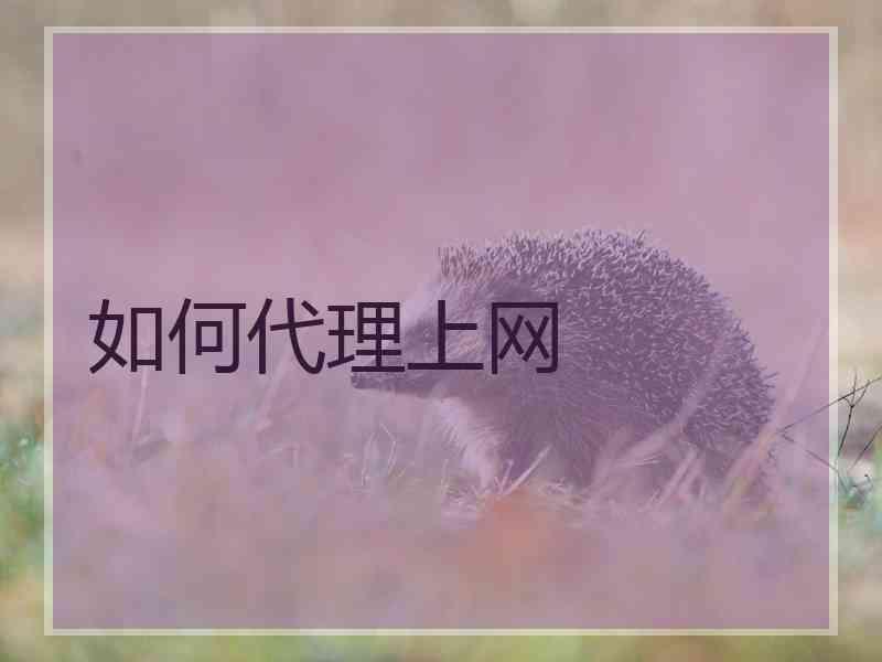 如何代理上网