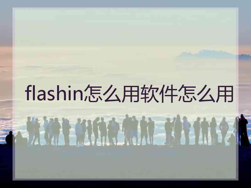 flashin怎么用软件怎么用