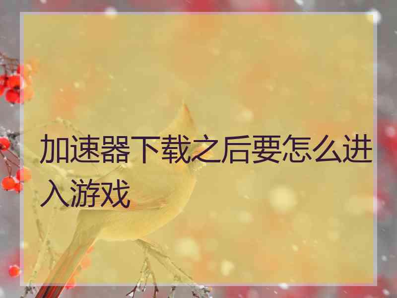 加速器下载之后要怎么进入游戏