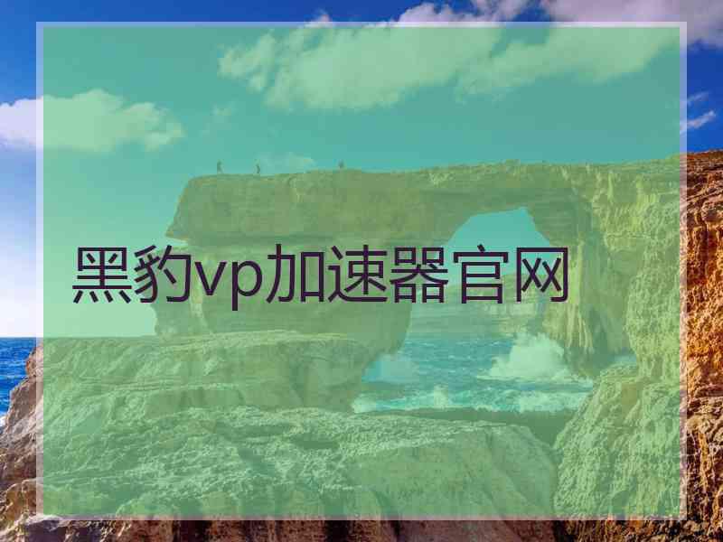 黑豹vp加速器官网