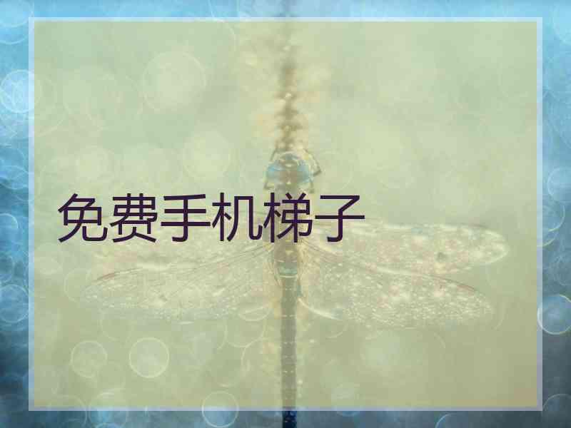 免费手机梯子