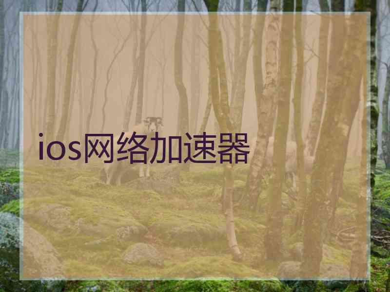 ios网络加速器