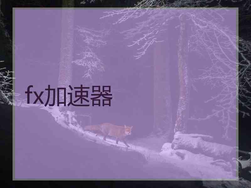 fx加速器