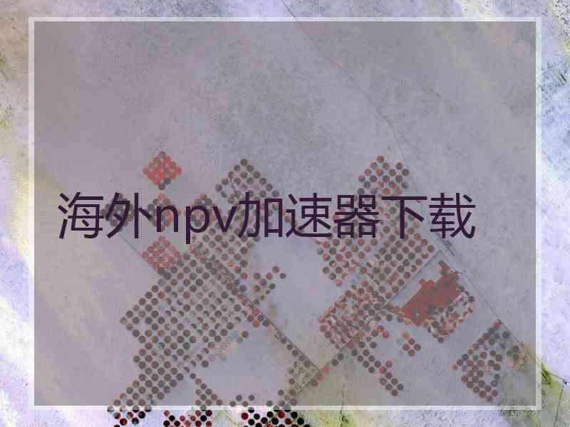 海外npv加速器下载