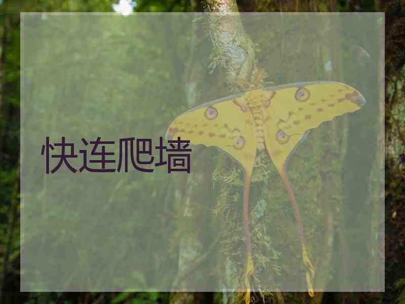 快连爬墙
