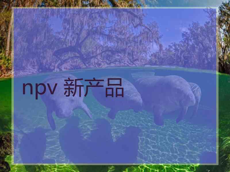npv 新产品