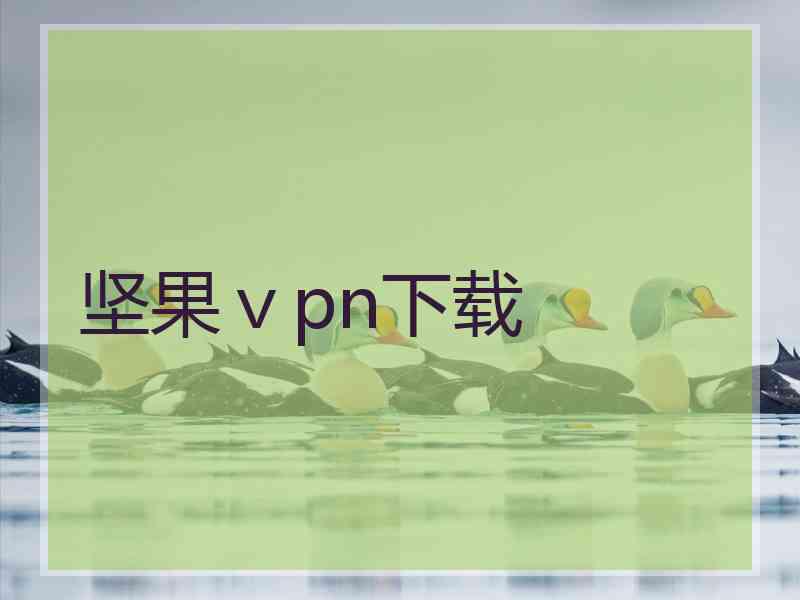 坚果ⅴpn下载