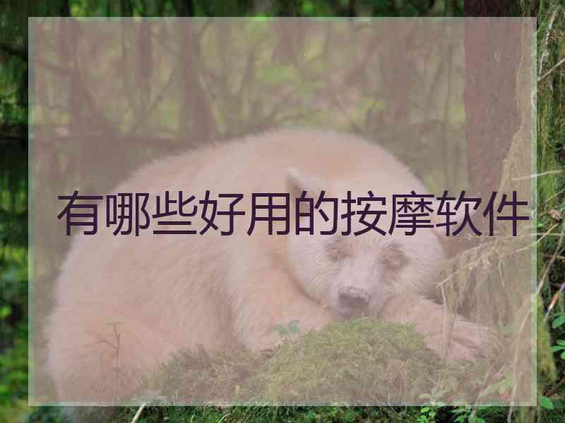 有哪些好用的按摩软件