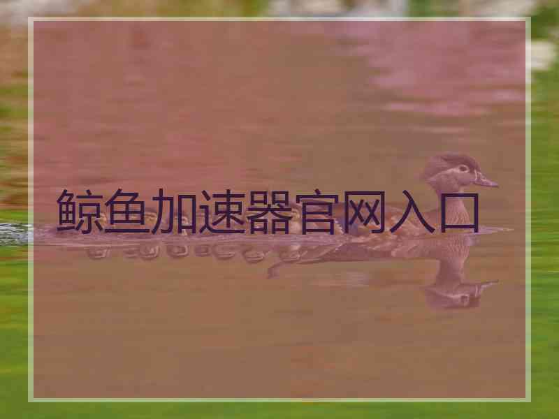 鲸鱼加速器官网入口