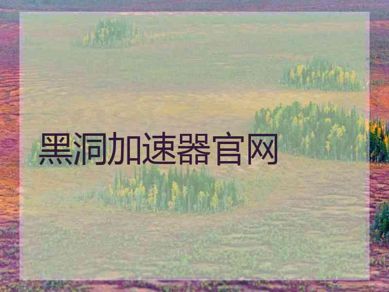 黑洞加速器官网