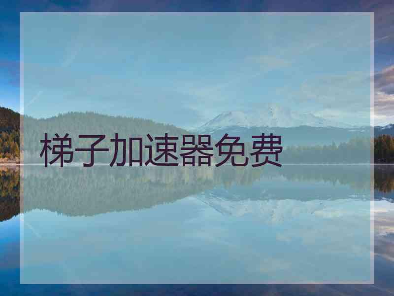 梯子加速器免费