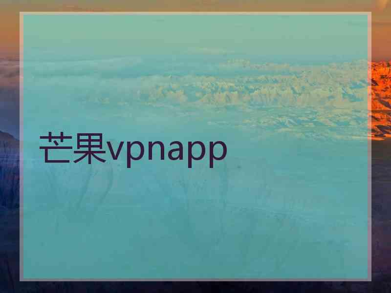 芒果vpnapp