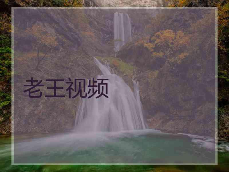 老王视频