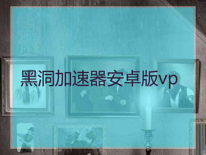 黑洞加速器安卓版vp