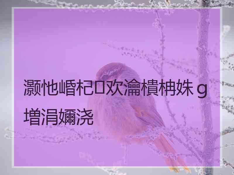 灏忚崏杞欢瀹樻柟姝ｇ増涓嬭浇