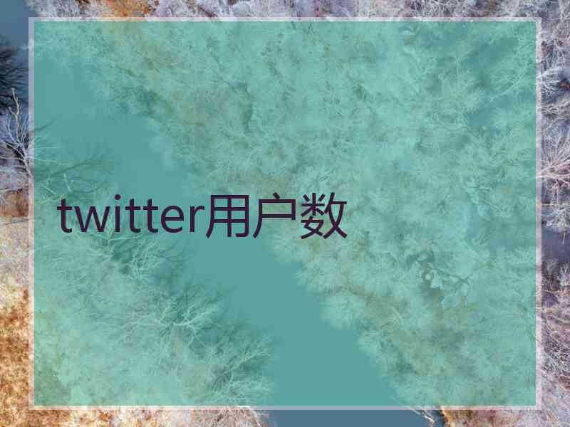 twitter用户数