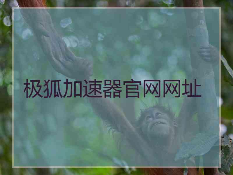 极狐加速器官网网址