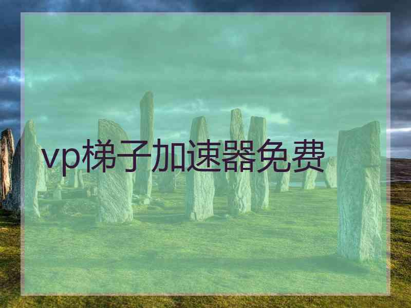 vp梯子加速器免费