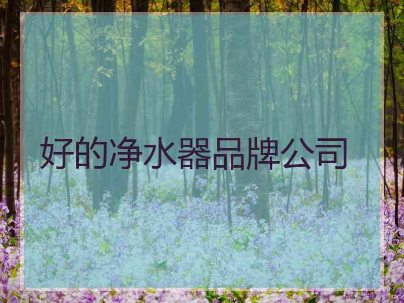 好的净水器品牌公司